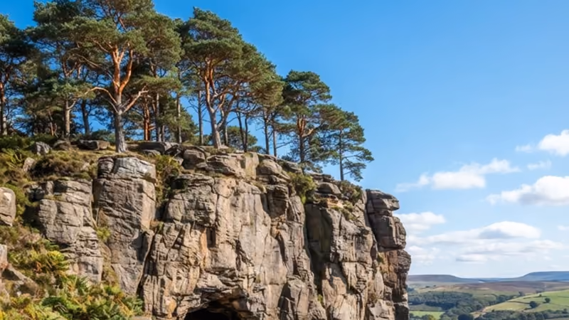 A sandstone crag with a cave beneath it and Scots pine above