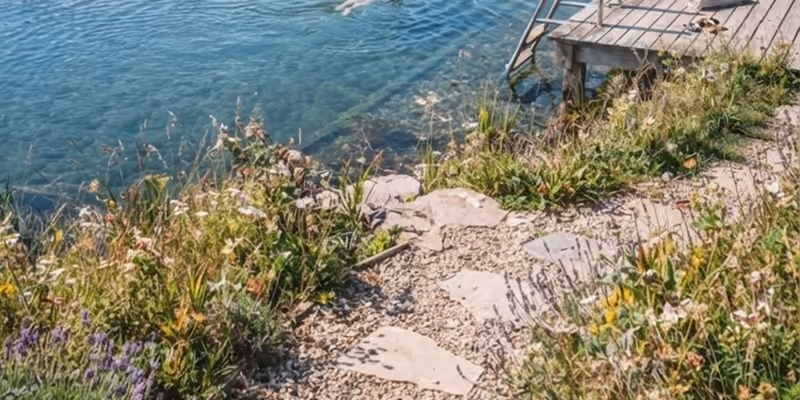 The path down to the water past the end of the deck