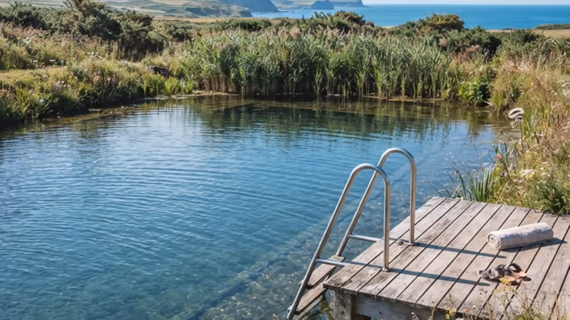 The swimming pond, its timber deck and ladder at the near edge