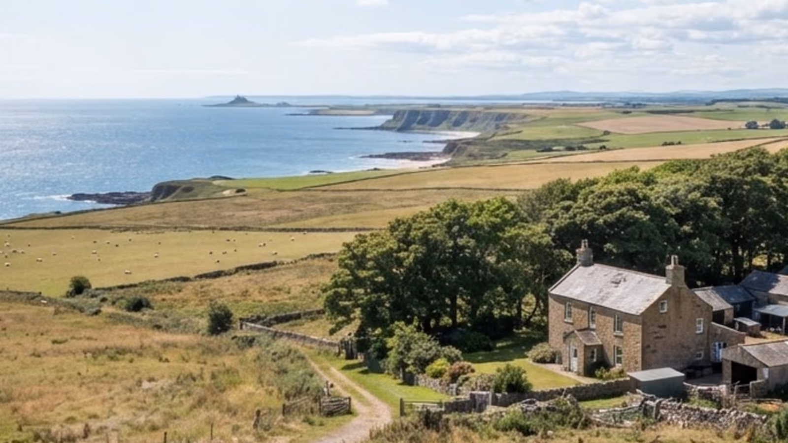 The stone farmhouse in its shelter belt of trees, with the farm's fields and the bay stretching away behind it